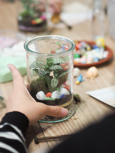 Load image into Gallery viewer, Terrarium Workshop - May 2024
