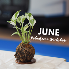 Load image into Gallery viewer, Kokedama Workshop - 15th June 2024
