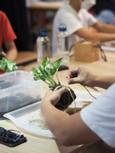 Load image into Gallery viewer, Kokedama Workshop - 15th June 2024
