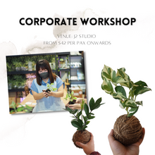 Load image into Gallery viewer, Private Kokedama Workshop (10 - 30 Pax)
