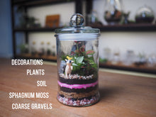 Load image into Gallery viewer, Apothecary Glass Jar
